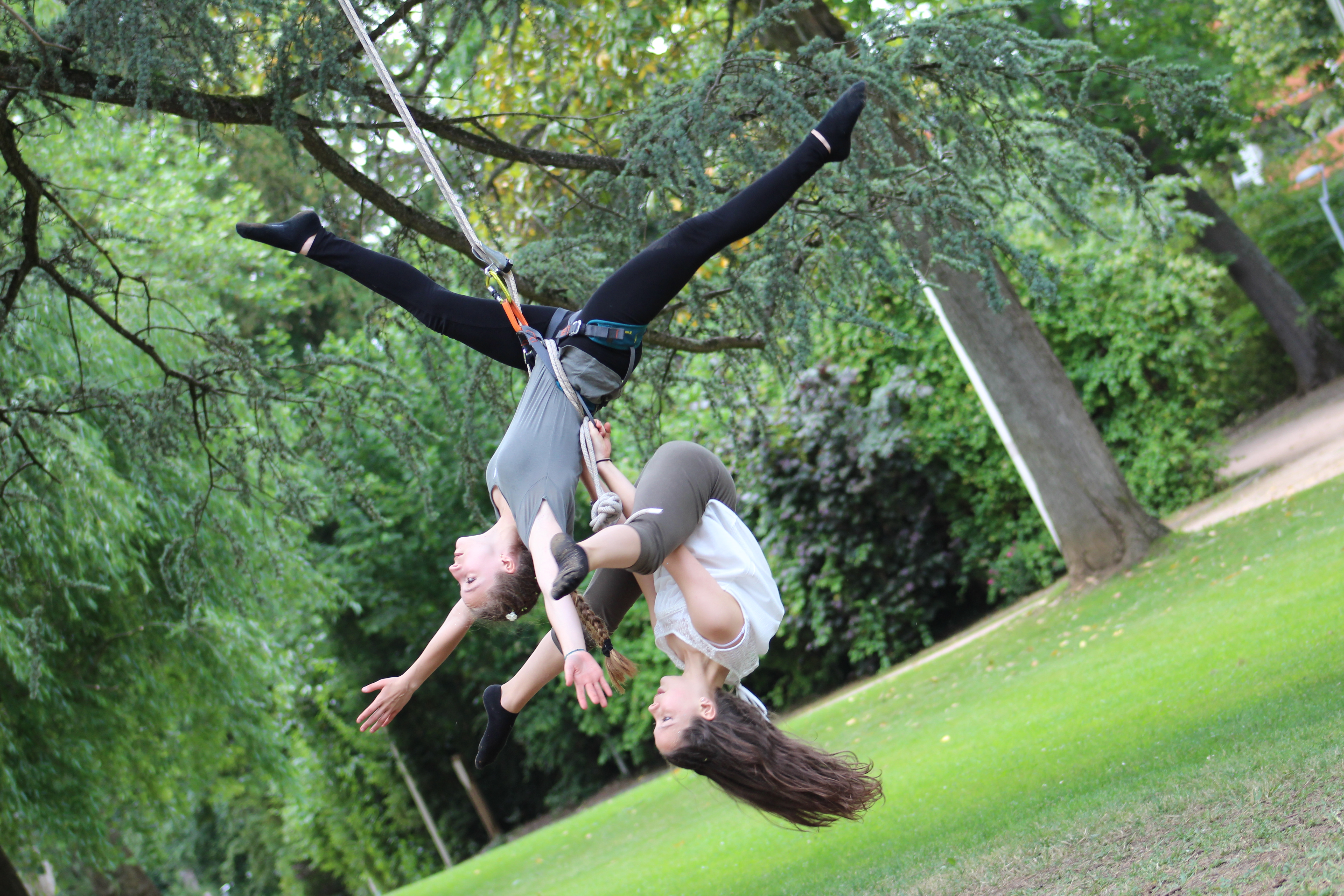 Danse dans les arbres